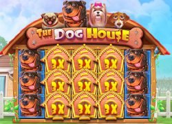 Spin Galaxy Casino - Games - The Dog House